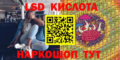 стаф Краснодар