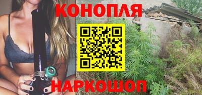 стаф Краснодар
