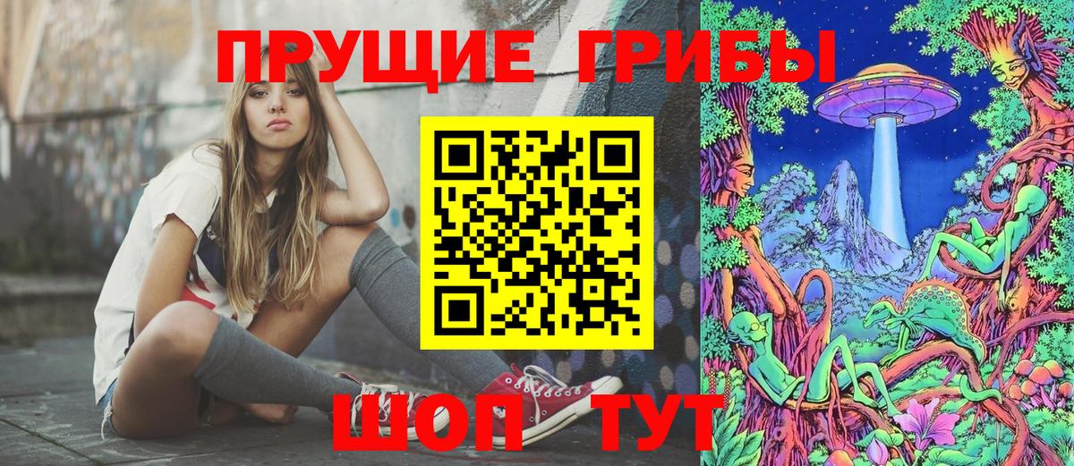 Псилоцибиновые грибы GOLDEN TEACHER Дедовск